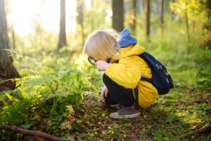 RSE Développement durable