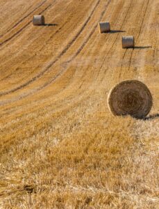 Des initiatives concrètes, une entreprise labellisée