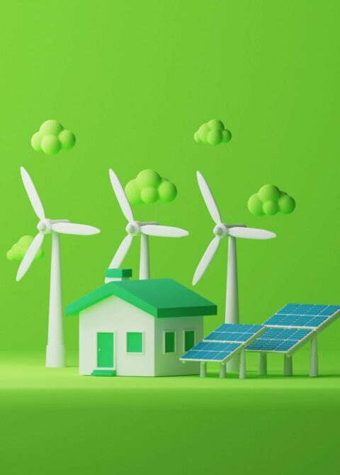 L’environnement