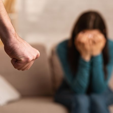 Les violences conjugales : connaître et comprendre 