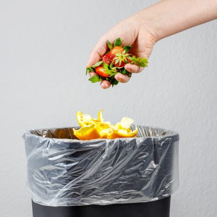Nos conseils pour limiter le gaspillage alimentaire