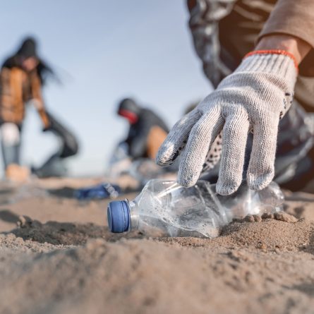 Journée mondiale de l’environnement 2025 : stop au plastique 