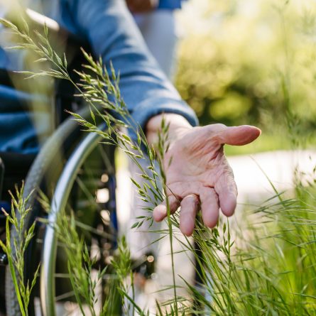 Réforme 2025 : remboursement des fauteuils roulants