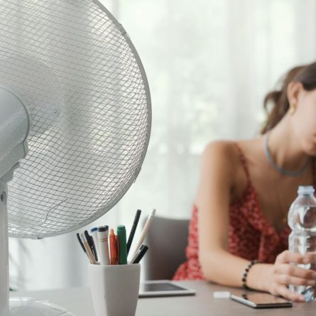 Canicule : quelles sont les obligations des employeurs ?